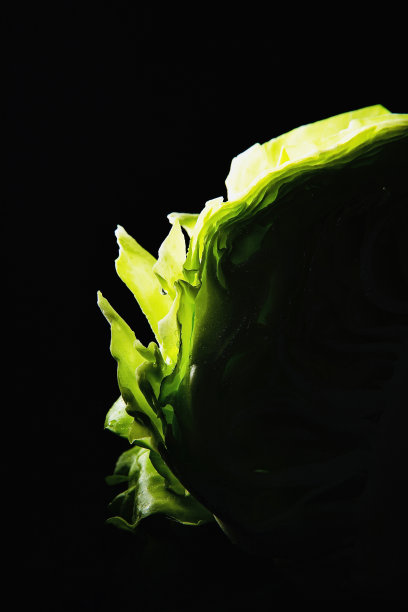 半截卷心菜叶子的特写-库存照片图片下载