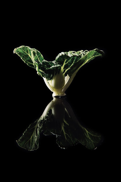 一个特写的整个中国牛奶白菜，五塔库存照片图片下载