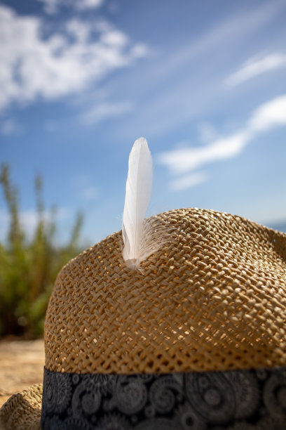 带羽毛的草帽图片下载