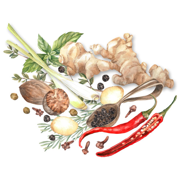 香料水彩。集。剪贴画插图。设计的菜单，烹饪博客，包装，纺织品，网页设计，网站，贴纸，邀请，图案，标志。手工绘制。图片下载