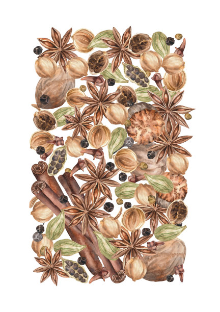 香料水彩。集。剪贴画插图。设计的菜单，烹饪博客，包装，纺织品，网页设计，网站，贴纸，邀请，图案，标志。手工绘制。图片下载
