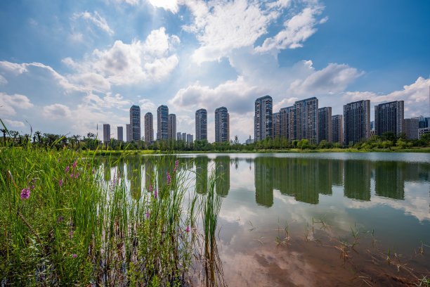蓝天白云下的公园湖边，绿植林立，高楼林立图片下载
