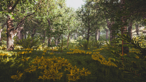 自然森林景观与元宇宙技术。三维渲染图片下载