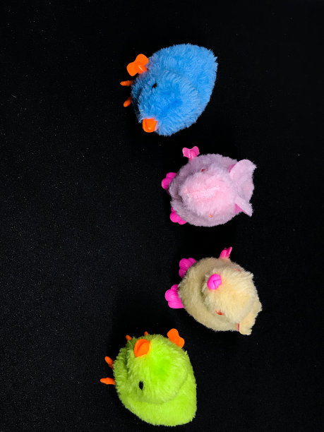 玩具和洋娃娃被隔离在黑色背景上图片下载