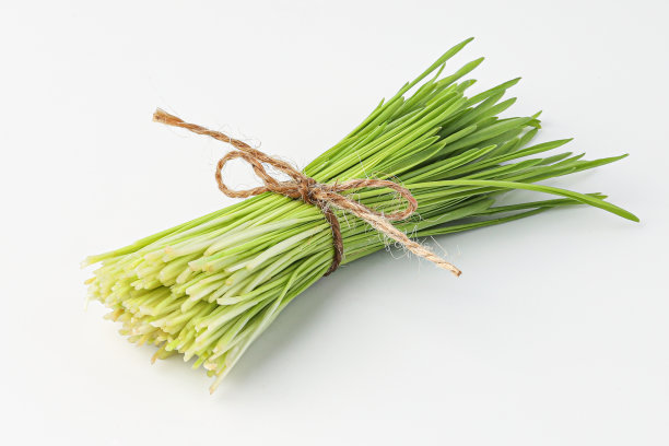 近距离的大麦草在白色。食物和饮料的概念图片下载