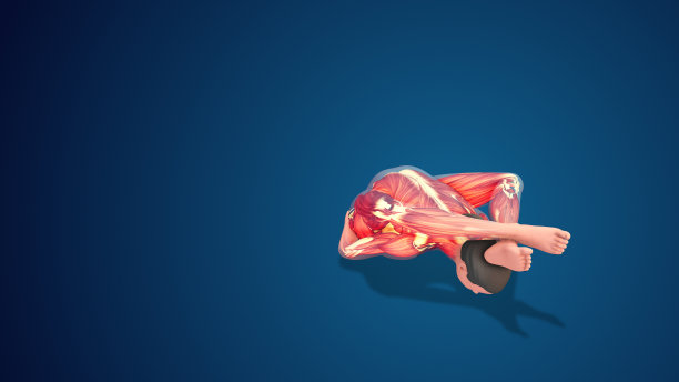 3D人类Supta Kurmasana或斜卧乌龟瑜伽姿势在蓝色背景图片下载