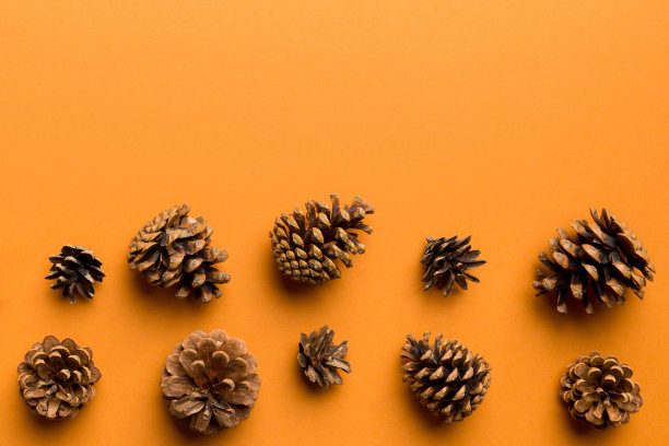 圣诞松果彩纸镶边构图。圣诞节，新年，冬天的概念。平铺，俯视图，复制空间图片下载