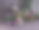 圣诞和新年组成的酒杯在桌子上特写图片下载