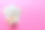 有白牙齿和美钞的人类下巴的特写模型。牙科概念照片。假牙科。带有复制空间的假teet顶视图图片下载