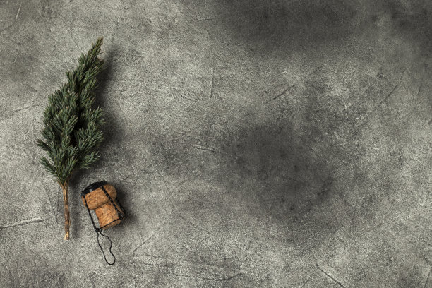 香槟软木塞和圣诞树。图片下载