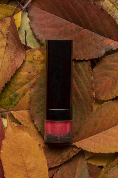 一管用秋叶涂的口红。图片下载