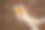 女人的手拿着一个塑料盒子与圆面包和牛角面包与砖墙背景图片下载