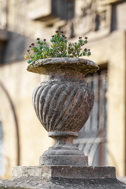 建筑花盆与植物在城市街道上图片下载