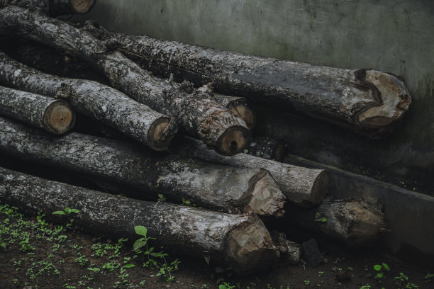 柚木圆木图片下载
