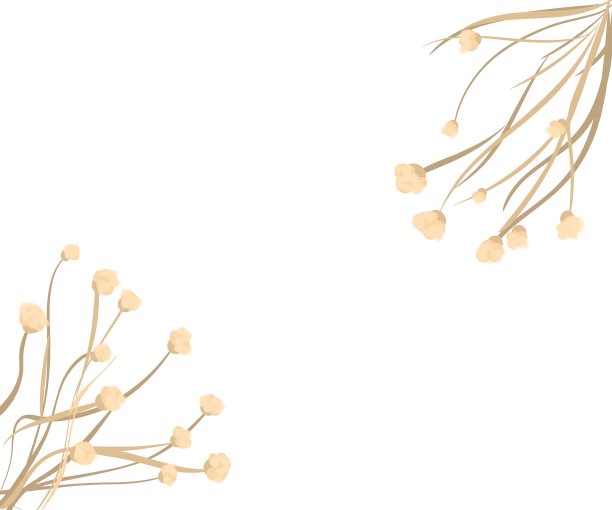 框架与干植物插图图片下载