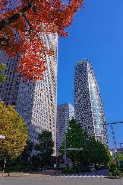 秋天的西宿-新宿摩天大楼清澈的秋叶(东京新宿区)图片下载