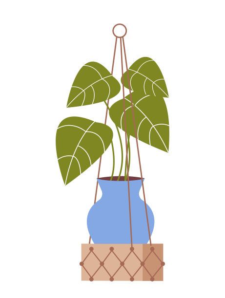 在流苏衣架上种植室内植物图片下载