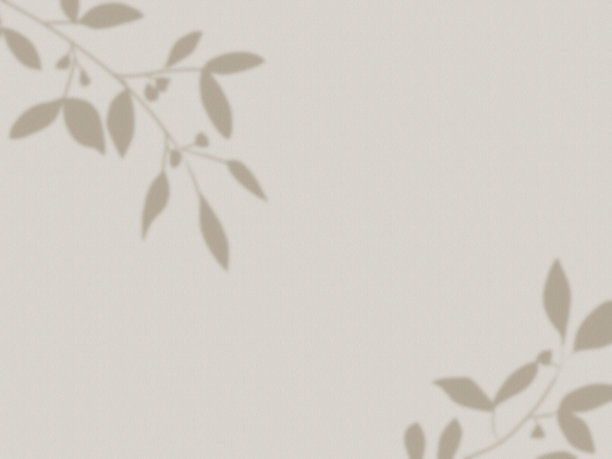 米色的墙壁背景与树枝和树叶的阴影图片下载