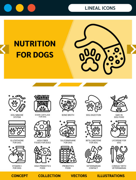 狗的营养图标。图片下载