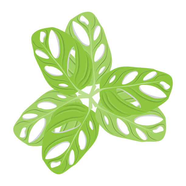 叶标志，绿色植物矢量，树矢量，稀有叶插图图片下载