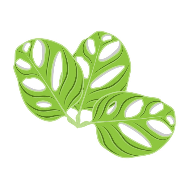 叶标志，绿色植物矢量，树矢量，稀有叶插图图片下载