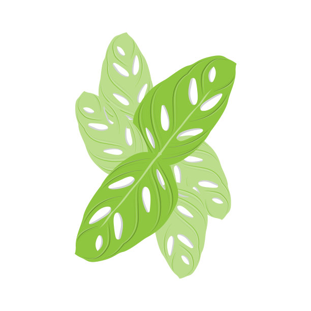 叶标志，绿色植物矢量，树矢量，稀有叶插图图片下载