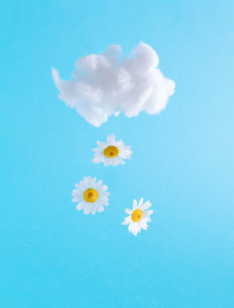 白色蓬松的云与雏菊花图案在蓝色背景。抽象的成分。极简创意的春天天空概念。图片下载