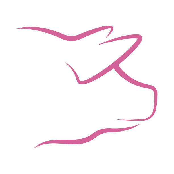 猪图标标志设计概念说明图片下载