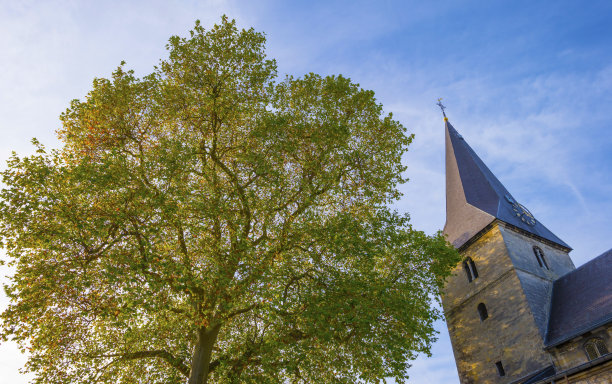 在阴云密布的秋天，明亮的阳光下，一座古老教堂的塔图片下载