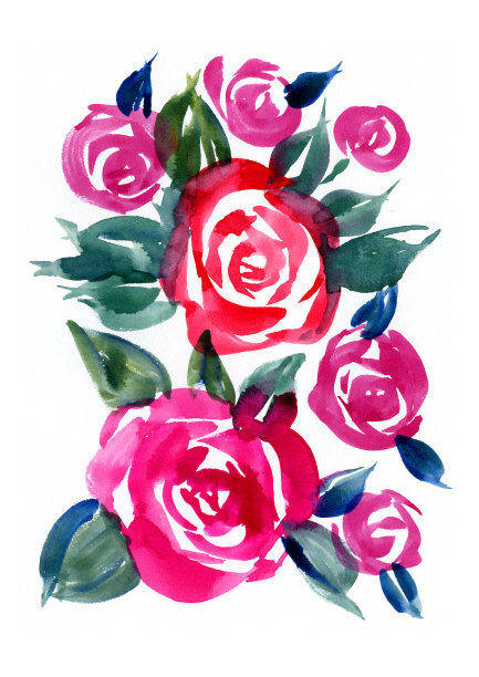 水彩画玫瑰，手绘，在白色背景上。图片下载