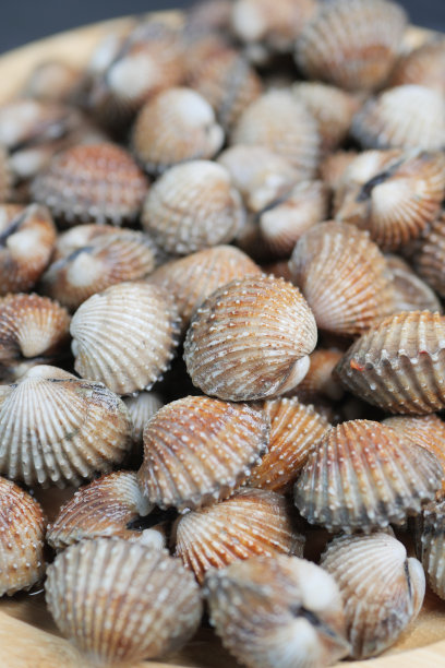 盘子里的蛤肉图片下载