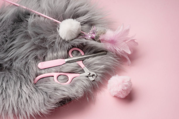 一套用来修剪宠物爪子的工具:一把锉刀、一把指甲剪、羽毛玩具、灰色垫子上的毛绒球、粉色猫指甲剪。图片下载