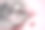 一套用来修剪宠物爪子的工具:一把锉刀、一把指甲剪、羽毛玩具、灰色垫子上的毛绒球、粉色猫指甲剪。图片下载