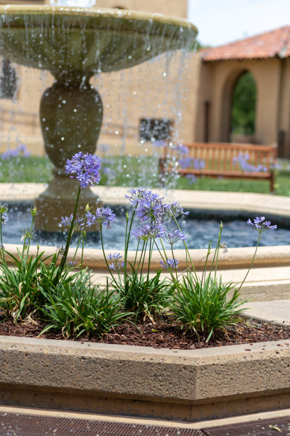 美国斯坦福大学外围的美丽照片图片下载