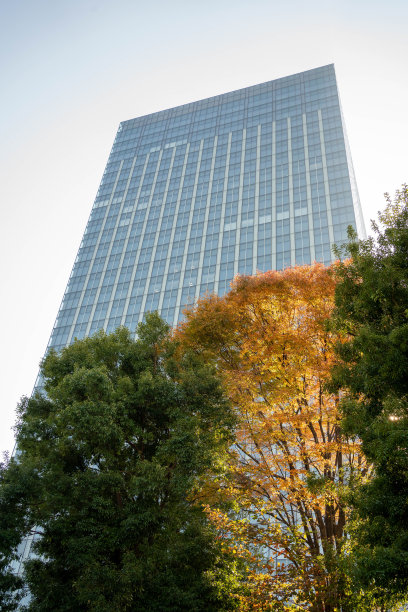 初秋的东京摩天大楼图片下载