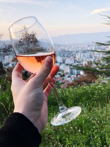 男人拿着一杯香槟对着城市风景图片下载