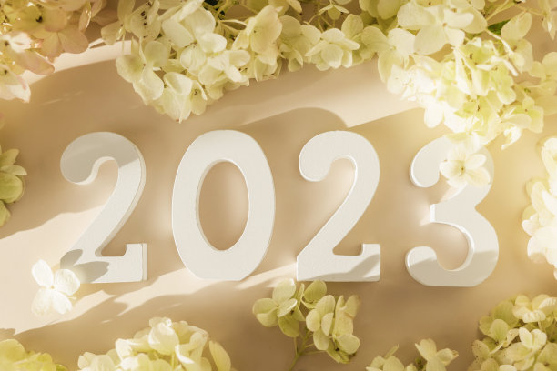 白色木号2023在柔和的米色背景与花朵。俯视图，平铺。2023年新年快乐。图片下载