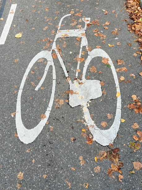道路上的自行车道标志图片下载