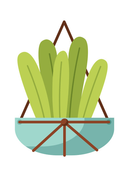 在悬挂的花盆里种植图片下载