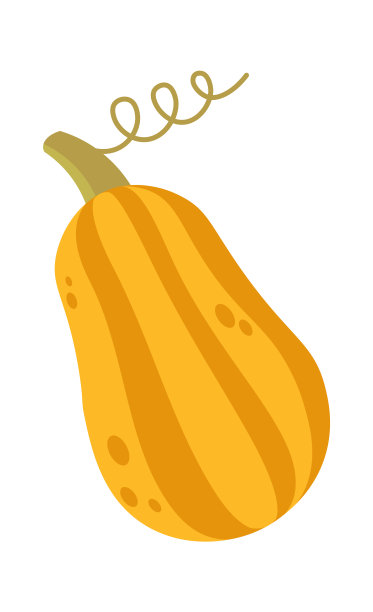 南瓜是秋天的象征。矢量图图片下载