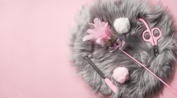 一套用来修剪宠物爪子的工具:一把锉刀、一把指甲剪、羽毛玩具、灰色垫子上的毛绒球、粉色猫指甲剪。图片下载