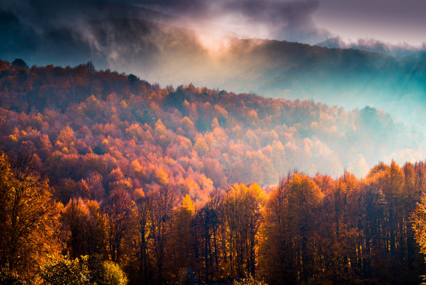 重阳节素材ID：431353032