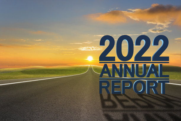 2022年年报图片下载