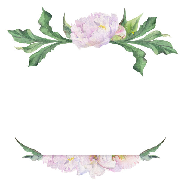 水彩画方形框，配以手绘的粉红牡丹花、芽、叶。孤立的白色背景。用于请柬，婚礼，爱情或贺卡，纸张，印刷，纺织图片下载