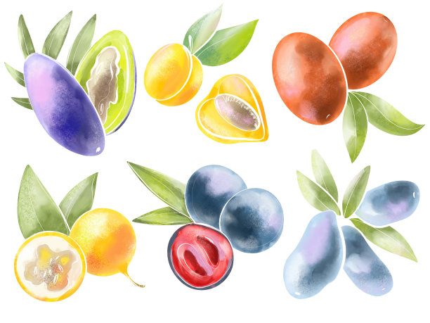 设置颜色插图简单的标志设计元素或图标浆果和水果水彩风格的油墨背景印刷化妆品和食品包装图片下载