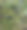 外来植物的绿叶作为艺术家的背景图片下载