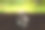 公式碳在一个透明球地下，在一个绿色的背景。的概念。减少碳排放，碳中性的概念。温室气体净零排放目标。减少二氧化碳碳足迹的概念图片下载