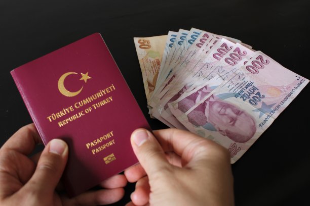 土耳其纸币和土耳其护照。金融和国际。图片下载