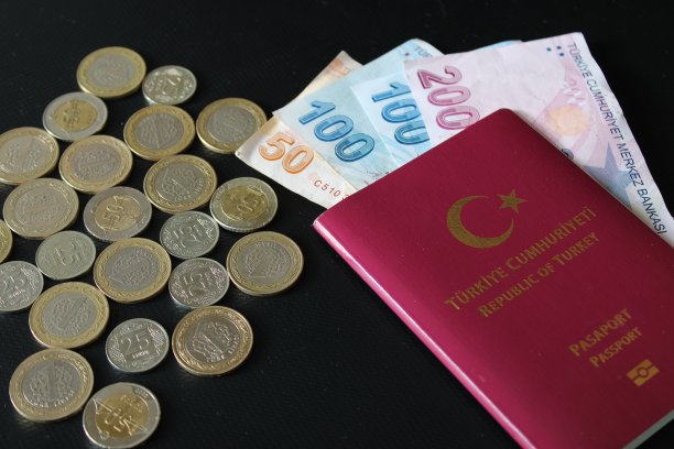 土耳其纸币和土耳其护照。金融和国际。图片下载