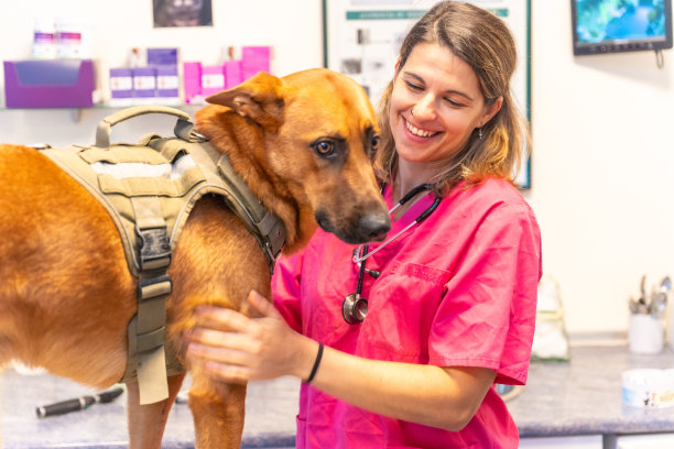 兽医诊所，身穿粉色制服的兽医妇女微笑着站在一只棕色的狗旁边图片下载